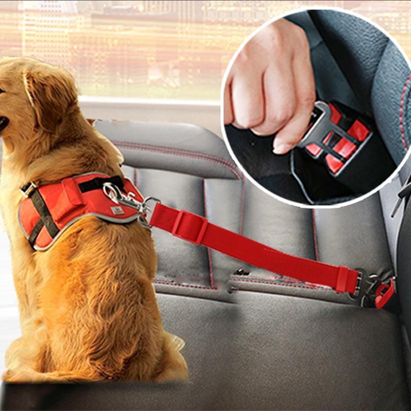 Dog Backseat Seatbelt